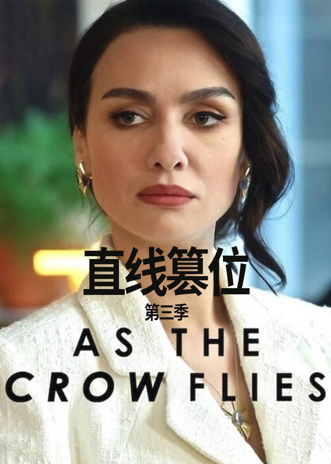 直线篡位 第三季封面图