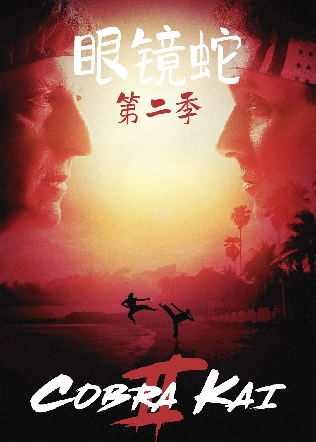 眼镜蛇 第二季封面图