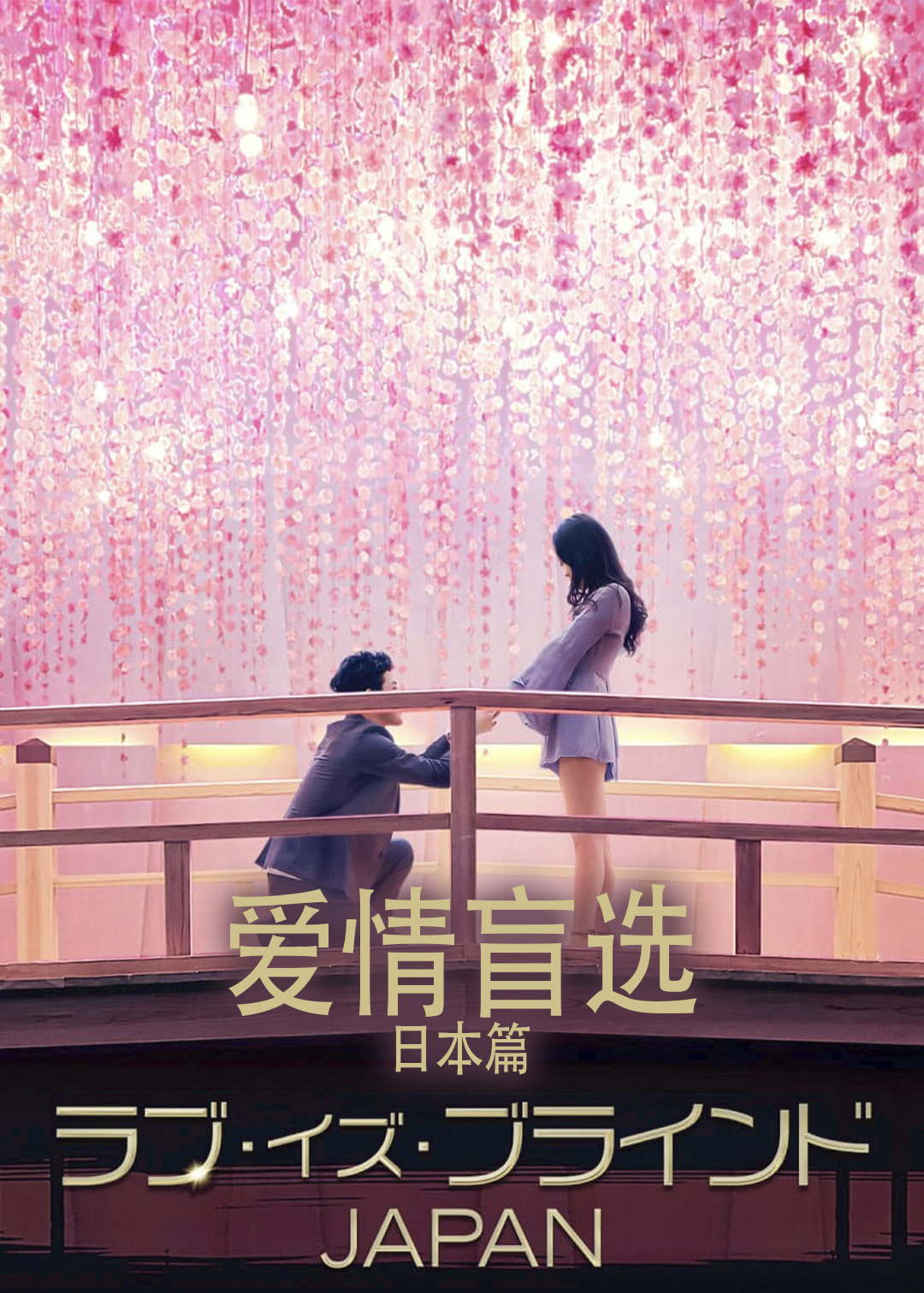 爱情盲选:日本篇封面图
