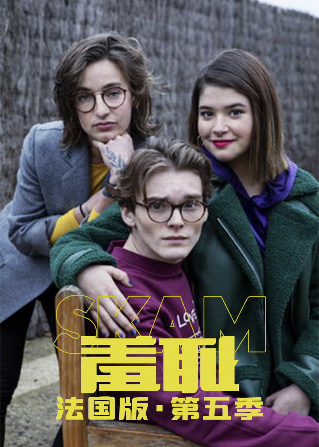 羞耻 法国版 第五季封面图