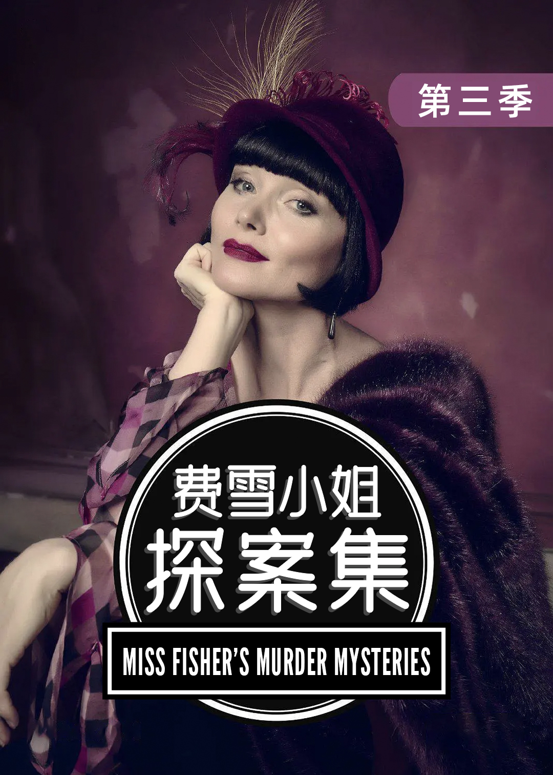 费雪小姐探案集 第三季封面图