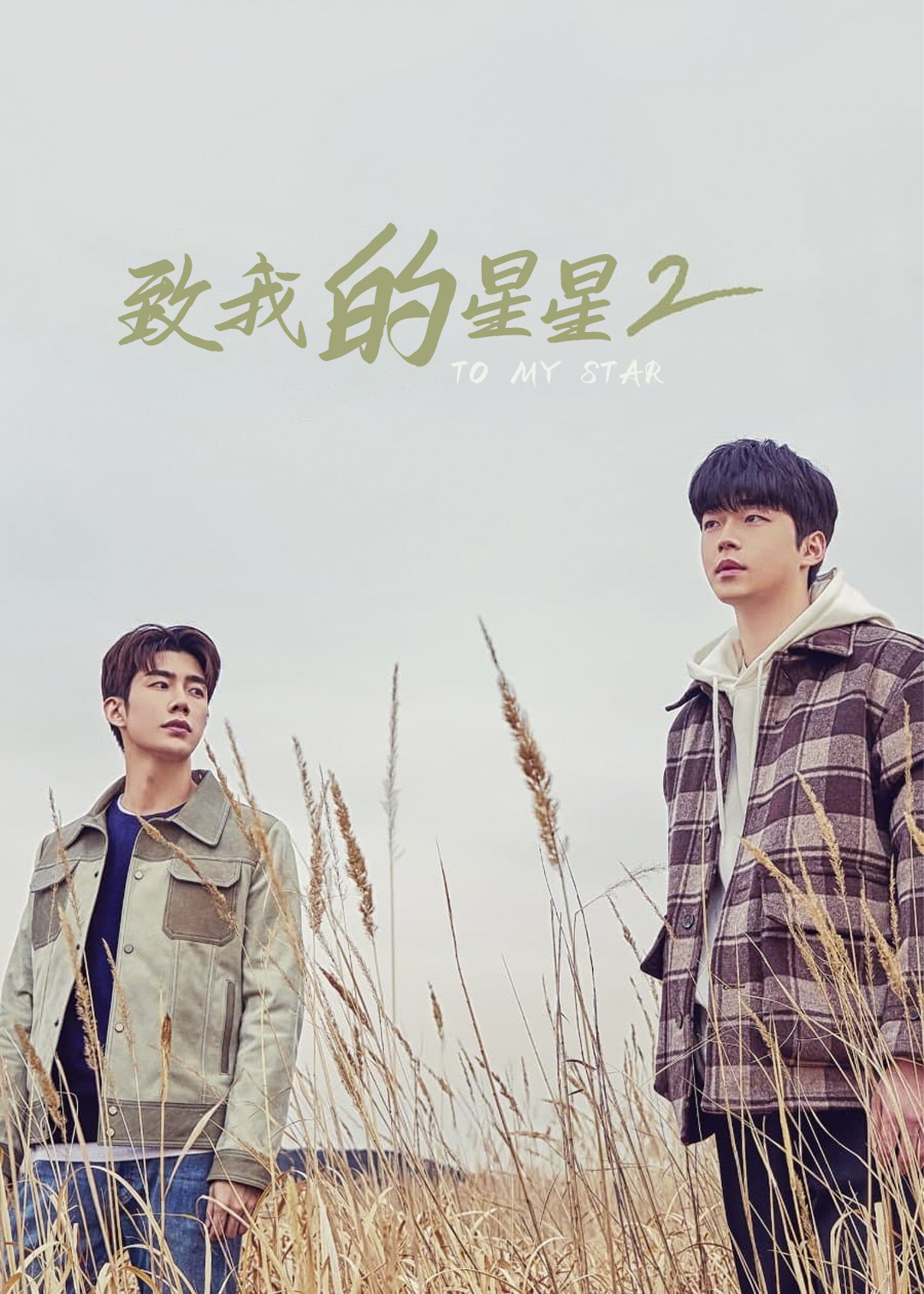 致我的星星 第二季封面图