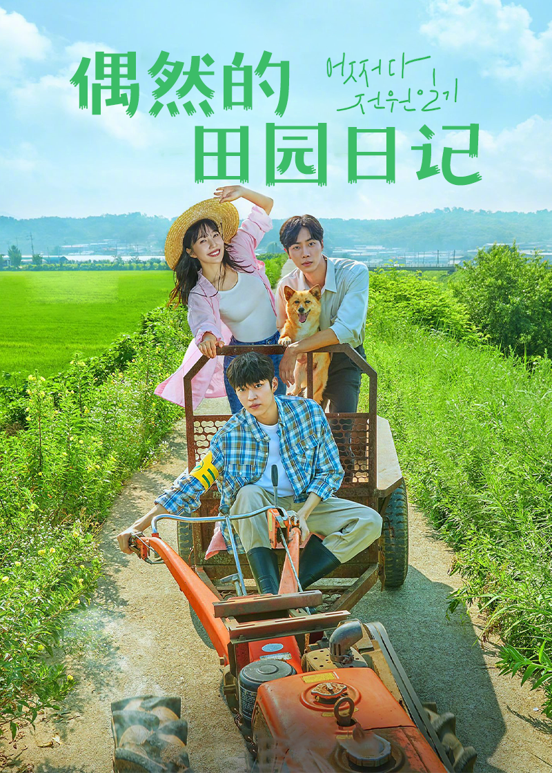 偶然田园日记封面图