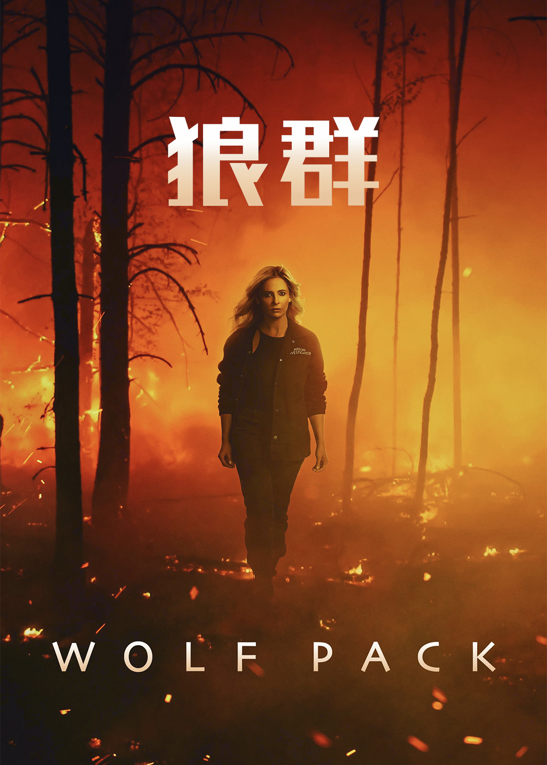 狼群封面图