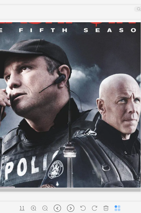 闪点行动 第五季封面图