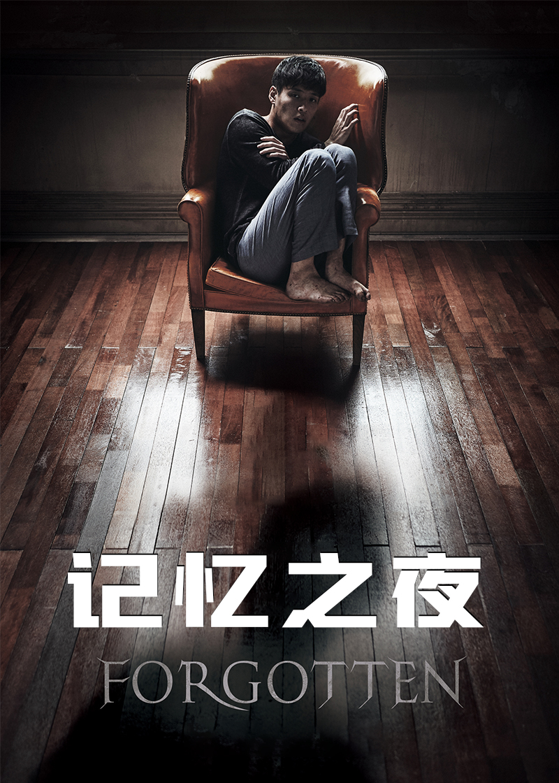 记忆之夜封面图
