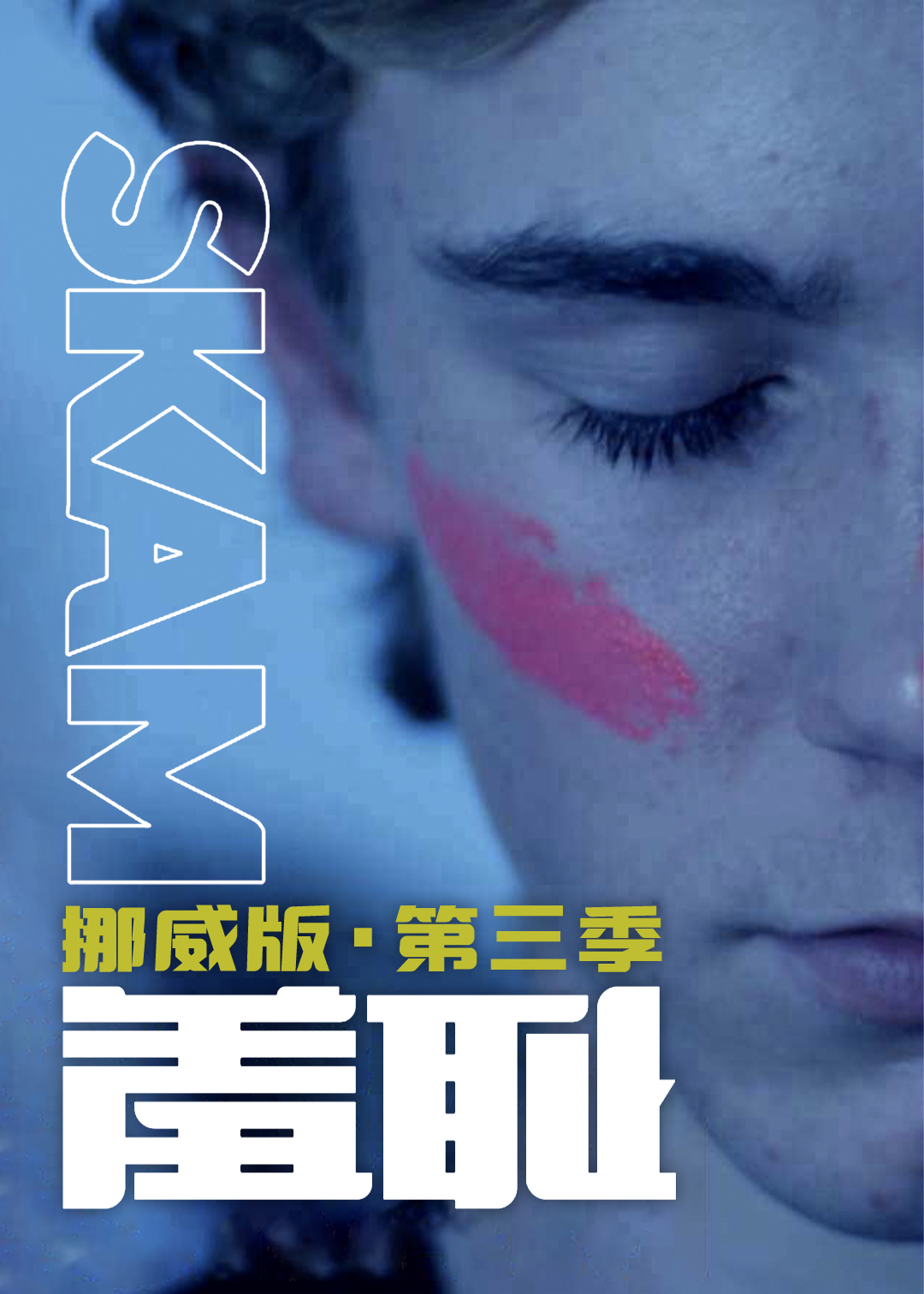 羞耻 挪威版 第三季封面图