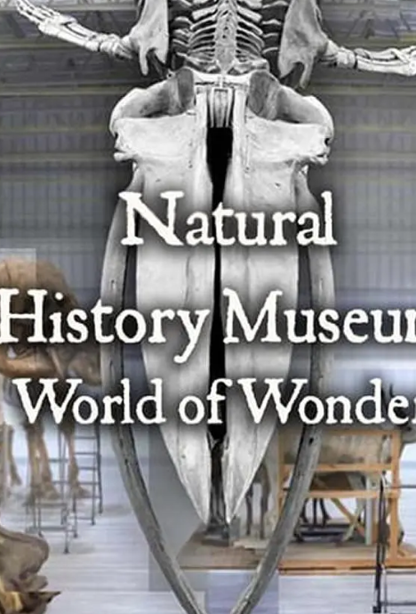 英国自然历史博物馆：神奇世界第一季封面图