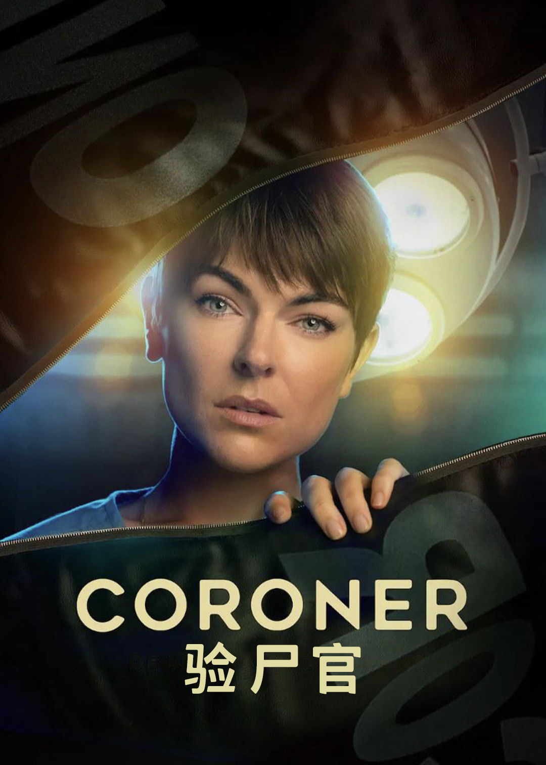 法医 第三季封面图