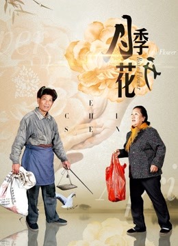 月季花开封面图