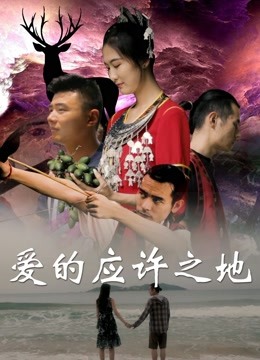 爱的应许之地封面图