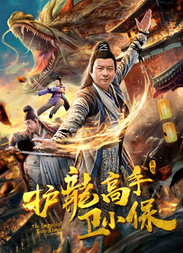 护龙高手卫小保封面图