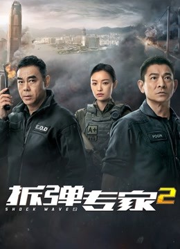 拆弹专家2粤语封面图