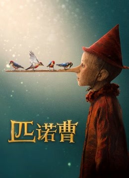 匹诺曹封面图