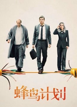 蜂鸟计划封面图