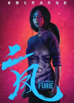 二凤封面图