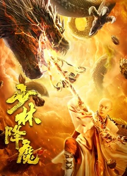 少林降魔封面图