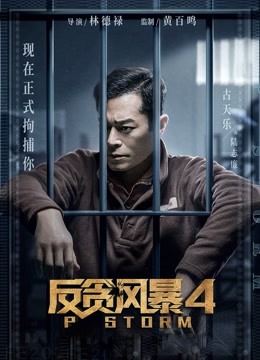 反贪风暴4粤语封面图