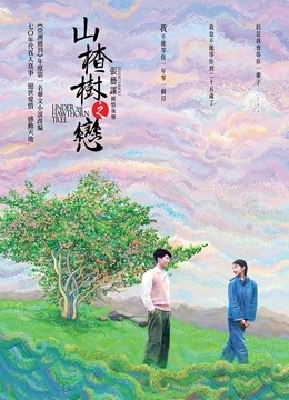 山楂树之恋封面图