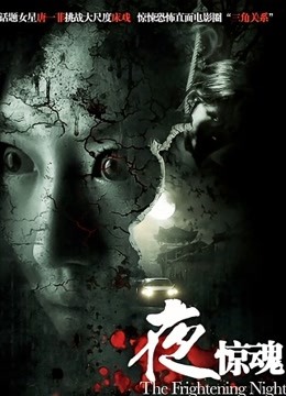 夜惊魂2011封面图