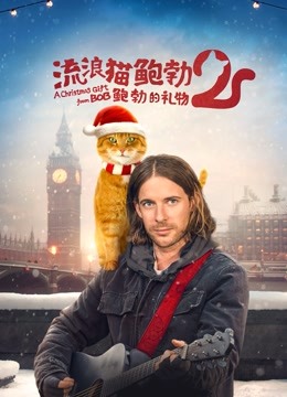 流浪猫鲍勃2:鲍勃的礼物封面图