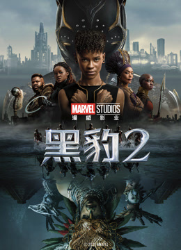 黑豹2 普通话封面图