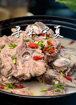 寻味宁夏封面图