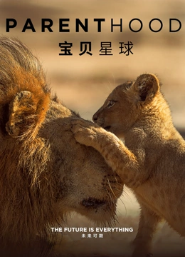 宝贝星球 英文版封面图