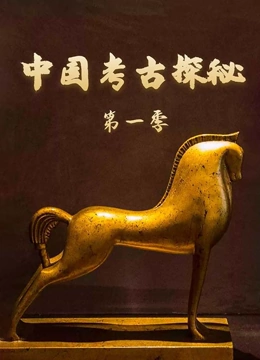 中国考古探秘  第一季封面图