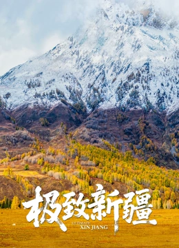 极致新疆封面图