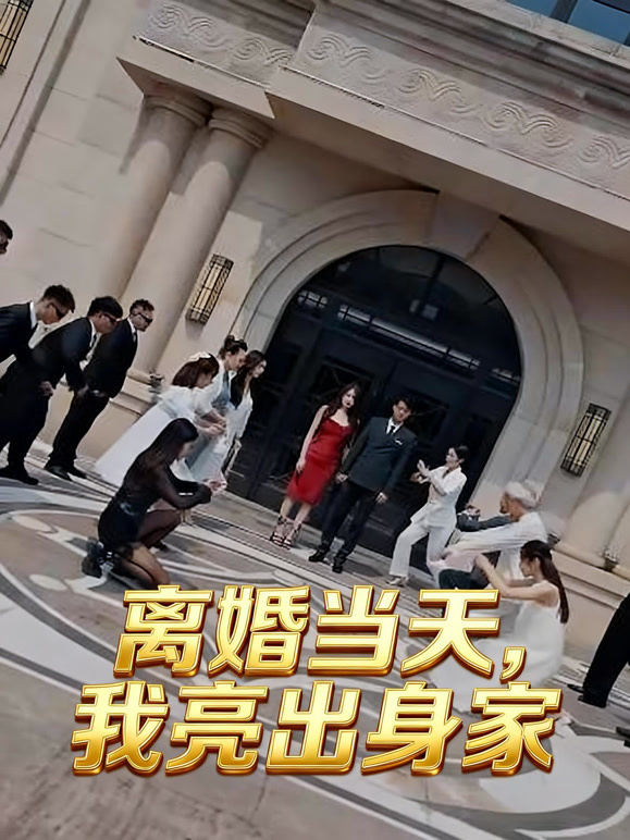 离婚当天我亮出身家封面图