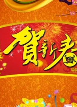 北京B TV版春晚封面图