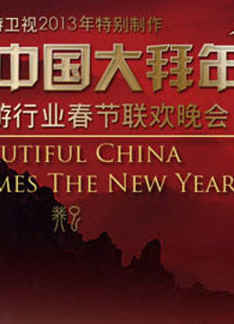 旅游卫视2013春晚封面图