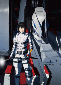 希德尼娅的骑士封面图