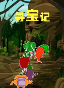 寻宝记封面图
