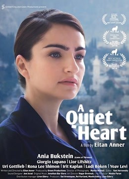 心之所向封面图