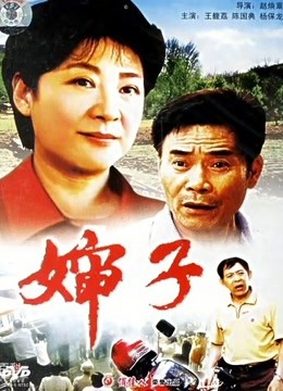 婶子封面图