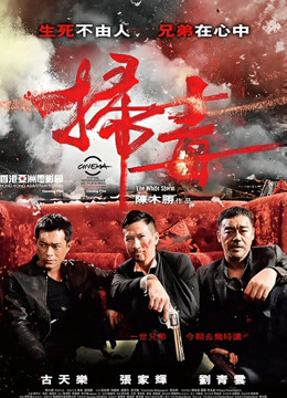扫毒 粤语封面图