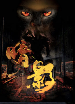 暗影封面图