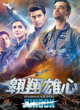 翱翔雄心封面图