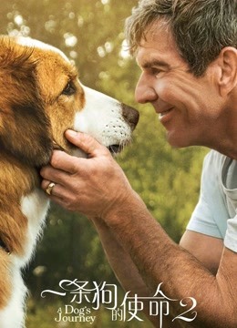 一条狗的使命2封面图