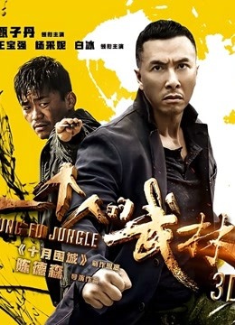 一个人的武林封面图