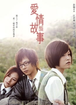 爱情故事2009封面图