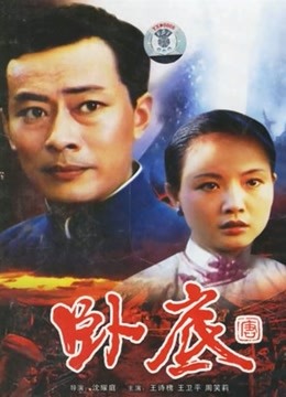 卧底封面图
