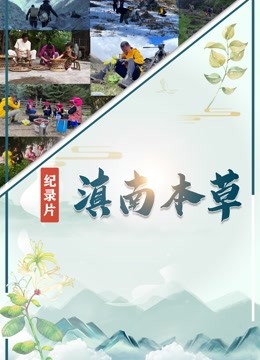 滇南本草封面图