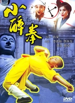 小醉拳封面图