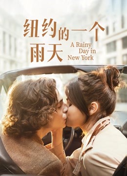 纽约的一个雨天封面图