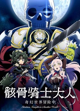 骸骨骑士大人奇幻世界冒险中封面图