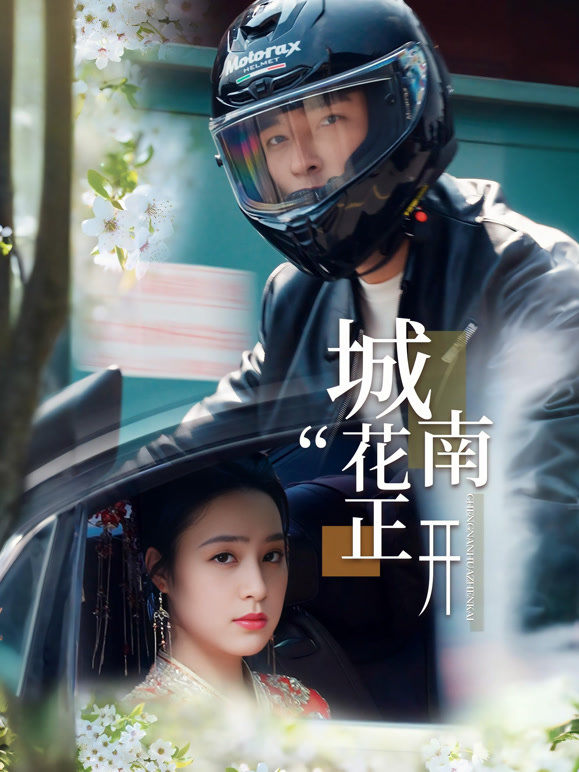 城南花正开封面图