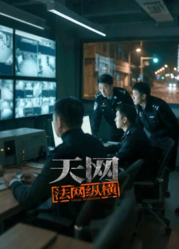天网：法网纵横封面图